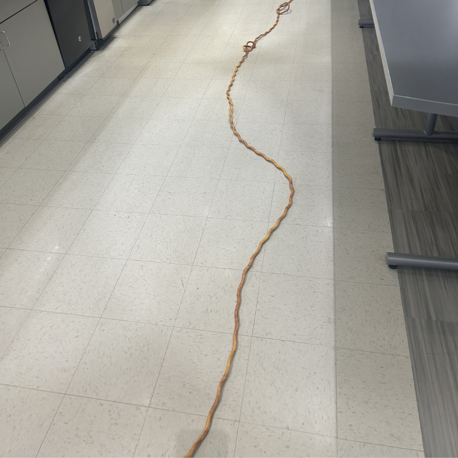 Bright floor detail with reflective finish